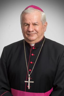 Dr. Kiss-Rigó László szeged-csanádi megyéspüspök