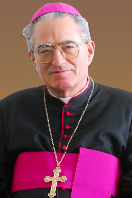 Dr. Pápai Lajos nyugalmazott győri megyéspüspök